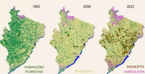 &Ecirc;xodo rural, fauna e abelhas sentem avan&ccedil;o dos eucaliptais em Mato Grosso do Sul