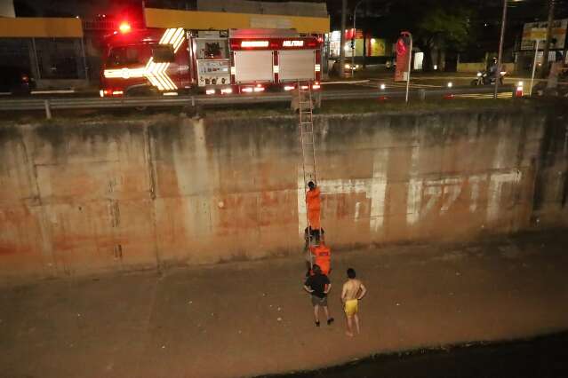 Cachorro segue preso no C&oacute;rrego Segredo ap&oacute;s tentativas de resgate