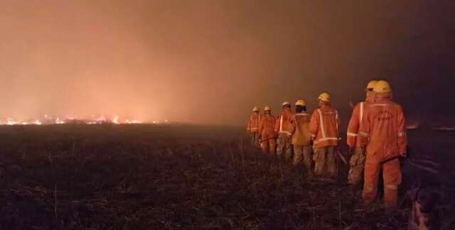 Incêndio no Pantanal consumiu 3,7 mil hectares de terras na fronteira