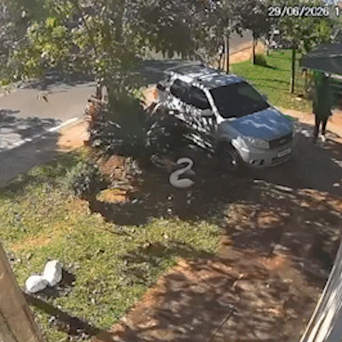 Suspeito de matar estudante também furtou churrasco durante jogo do Brasil