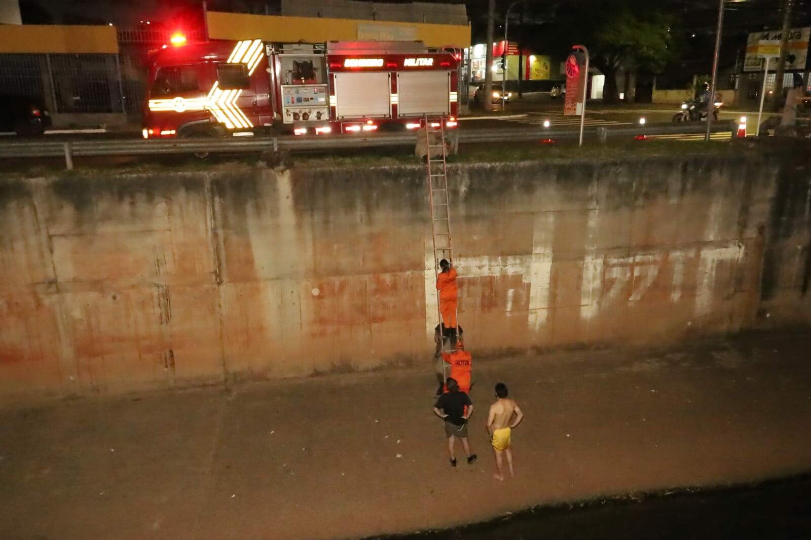 Cão preso em córrego mobiliza bombeiros e voluntários em Campo Grande