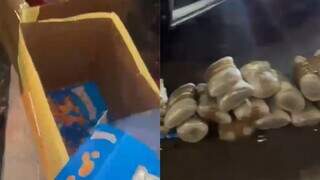 Passageiros que saíram de MS são pegos com 200 kg de drogas em caixas de cereal Passageiros que saíram de MS são pegos com 200 kg de drogas em caixas de cereal