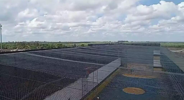 Drone &eacute; derrubado ao tentar levar coca&iacute;na e celular para M&aacute;xima