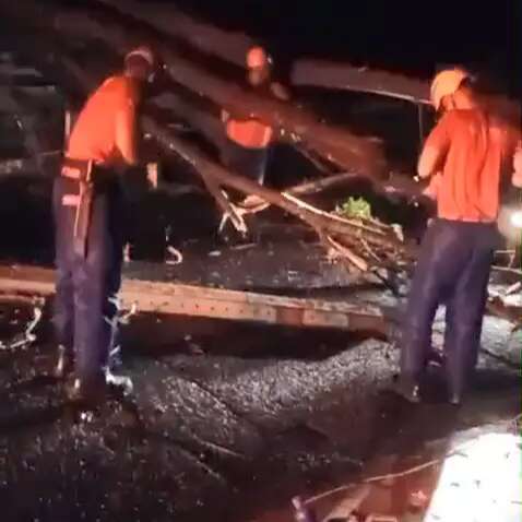 &Aacute;rvore cai sobre fia&ccedil;&atilde;o, derruba poste e atinge carro no Z&eacute; Pereira