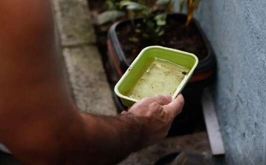 Minist&eacute;rio da Sa&uacute;de alerta para risco de alta da dengue com avan&ccedil;o do El Ni&ntilde;o