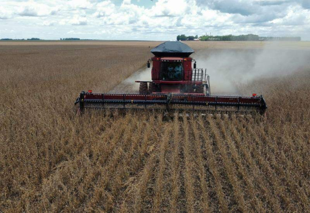 Crédito rural em MS fecha safra com queda de 21% e reforça cenário de restrição