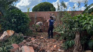 Júri condena trio e absolve jovem pela morte de pintor enterrado em quintal Júri condena trio e absolve jovem pela morte de pintor enterrado em quintal