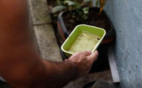 Minist&eacute;rio da Sa&uacute;de alerta para risco de alta da dengue com avan&ccedil;o do El Ni&ntilde;o