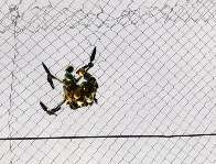 Drones do crime burlam proteção com embalagens “linguicinhas” na Máxima