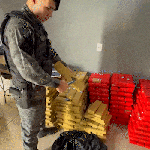 Quase meia tonelada de maconha &eacute; encontrada escondida em casa na Vila Popular