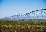 Energia solar pode alavancar expansão da irrigação em MS, aponta estudo