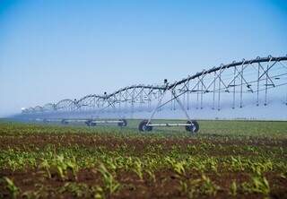 Energia solar pode alavancar expansão da irrigação em MS, aponta estudo Energia solar pode alavancar expansão da irrigação em MS, aponta estudo