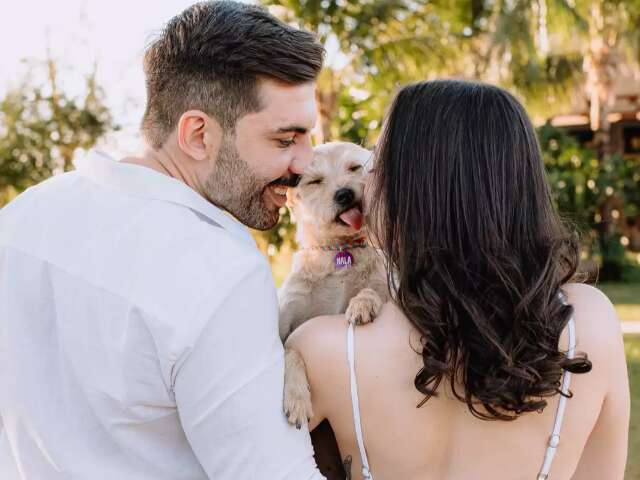 Antes do casamento, cadela rouba a cena em ensaio cheio de fofura