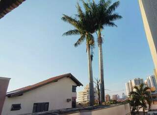 Tempo firme, calor de at&eacute; 34&deg;C e baixa umidade marcam o s&aacute;bado em MS