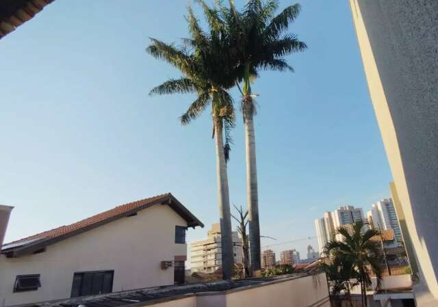 Tempo firme, calor de at&eacute; 34&deg;C e baixa umidade marcam o s&aacute;bado em MS