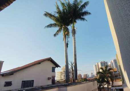 Tempo firme, calor de at&eacute; 34&deg;C e baixa umidade marcam o s&aacute;bado em MS