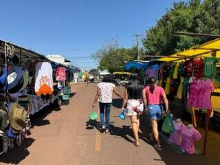 Guanandi ou Moreninha? A disputa pela feira mais raiz de Campo Grande Guanandi ou Moreninha? A disputa pela feira mais raiz de Campo Grande