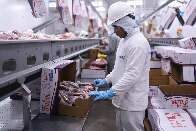Com frigor&iacute;ficos sob press&atilde;o, governo anuncia miss&atilde;o para abrir mercado coreano