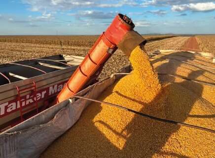Com 80% da soja vendida, produtor de MS monitora clima dos EUA para vender saldo