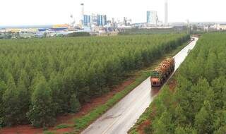 Hexatrens da Suzano s&atilde;o autorizados a circular em rodovias de MS
