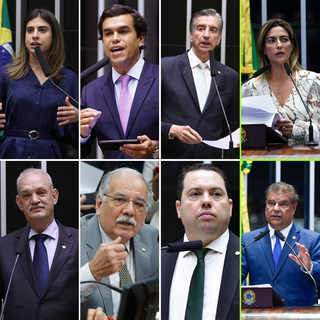 80% da bancada federal de MS deve buscar reelei&ccedil;&atilde;o este ano