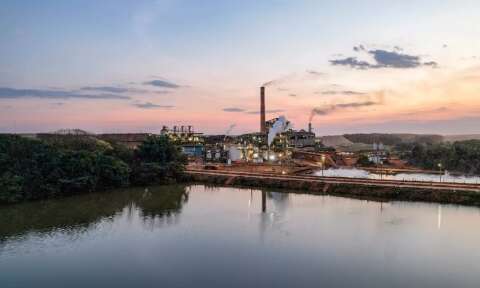 Pioneira em MS, Usina Sonora faz 50 anos e planeja novo ciclo de crescimento