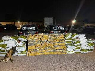 Bunker com 1,22 tonelada de maconha &eacute; encontrado em casa no Jardim Itamarac&aacute;