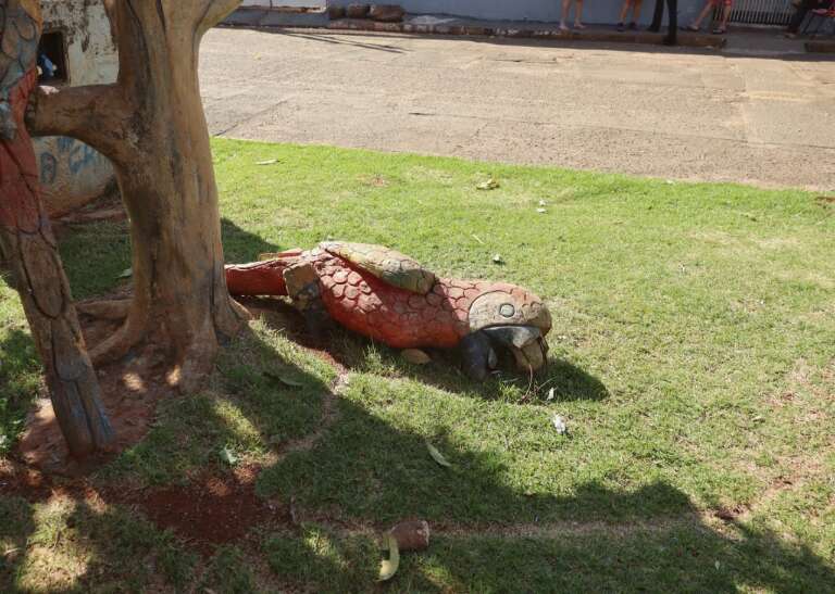 Campo Grande News