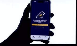 Aplicativo para den&uacute;ncias eleitorais estar&aacute; dispon&iacute;vel em 16 de agosto
