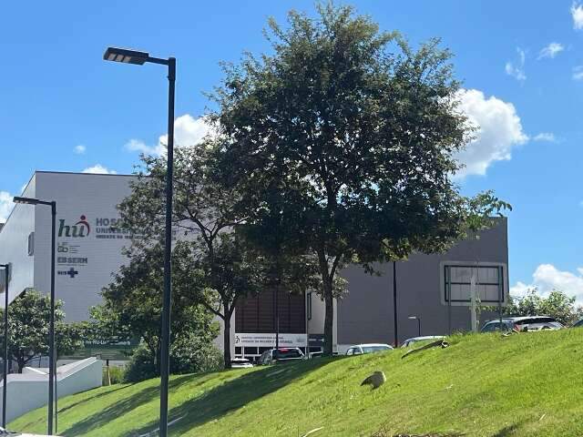 Explos&atilde;o ao acender churrasqueira com &aacute;lcool mata menino de 3 anos