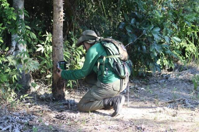 Monitoramento na Serra do Amolar registra raro casal de tatu-bola