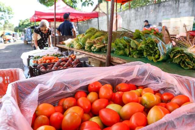 Feiras, sacol&otilde;es e cozinhas passam a integrar a rede nacional de combate &agrave; fome