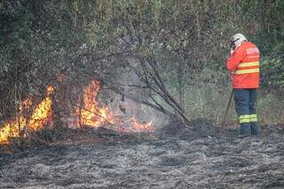 Inc&ecirc;ndio atinge terreno na Avenida Nelly Martins, no Carand&aacute; Bosque