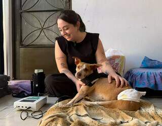 Cães com deficiência formam "gangue de rodinhas" na casa da veterinária Cães com deficiência formam "gangue de rodinhas" na casa da veterinária