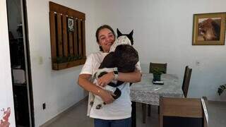 Cães com deficiência formam "gangue de rodinhas" na casa da veterinária Cães com deficiência formam "gangue de rodinhas" na casa da veterinária