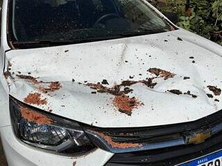 Galho de &aacute;rvore cai sobre carro estacionado em rua da regi&atilde;o central