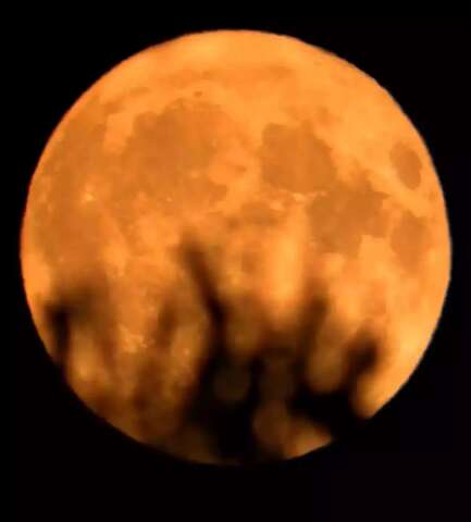 Lua do Veado abre alas para chuvas de meteoros no "Mato Grosso do C&eacute;u&rdquo;