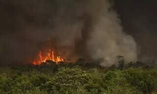Antes que o fogo volte: prevenir é obrigação, destruir deve ser crime sem perdão Antes que o fogo volte: prevenir é obrigação, destruir deve ser crime sem perdão