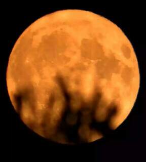 Lua do Veado abre alas para chuvas de meteoros no "Mato Grosso do Céu” Lua do Veado abre alas para chuvas de meteoros no "Mato Grosso do Céu”