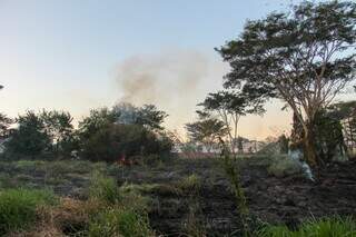Inc&ecirc;ndio atinge terreno na Avenida Nelly Martins, no Carand&aacute; Bosque