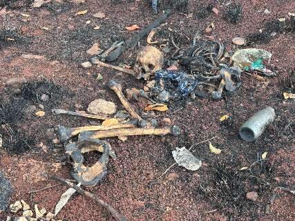 Inc&ecirc;ndio em mata revela ossada humana e pol&iacute;cia investiga identidade da v&iacute;tima