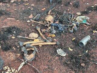Incêndio em mata revela ossada humana e polícia tenta identificação Incêndio em mata revela ossada humana e polícia tenta identificação