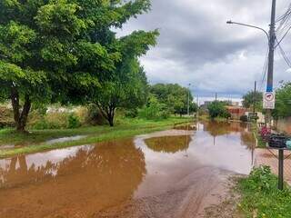 Estudo ambiental avalia cercar Lagoa Itatiaia e “enriquecer” a vegetação Estudo ambiental avalia cercar Lagoa Itatiaia e “enriquecer” a vegetação
