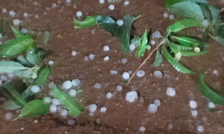 Moradora registra chuva de granizo em assentamento 