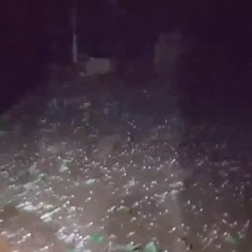 Moradora registra chuva de granizo em assentamento 