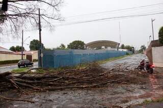 Galhos de árvore seca caem durante chuva e interditam rua no Guanandi Galhos de árvore seca caem durante chuva e interditam rua no Guanandi