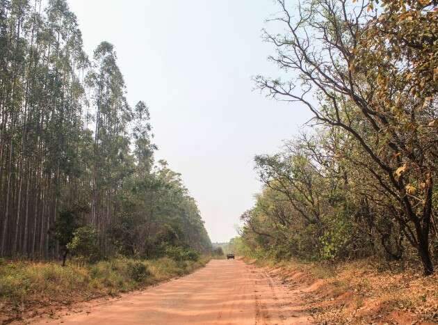 Da promessa de 130 anos ao fim em 12: a mina que desapareceu no Vale da Celulose