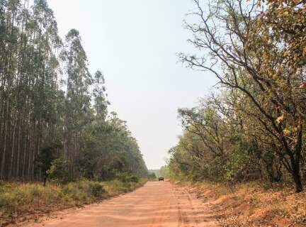 Da promessa de 130 anos ao fim em 12: a mina que desapareceu no Vale da Celulose