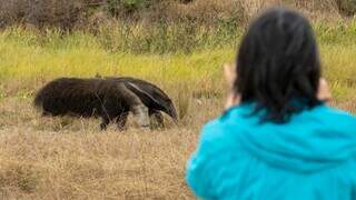 Muito além da pesca: Corumbá revela um Pantanal de cultura, aventura e emoções Muito além da pesca: Corumbá revela um Pantanal de cultura, aventura e emoções