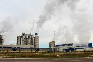 Suzano e Eldorado pagaram mais de R$ 5 bilhões em terras que eram da pecuária Suzano e Eldorado pagaram mais de R$ 5 bilhões em terras que eram da pecuária